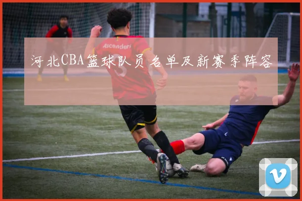 河北CBA篮球队员名单及新赛季阵容