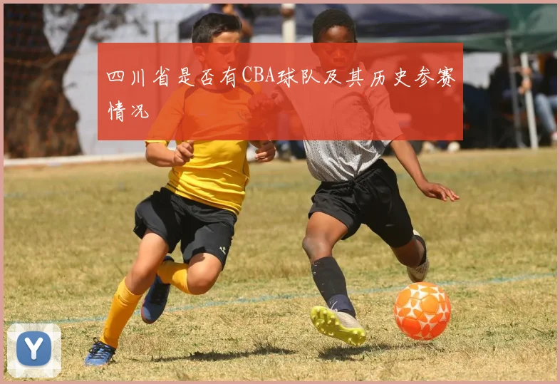 四川省是否有CBA球队及其历史参赛情况