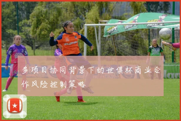 多项目协同背景下的世俱杯商业合作风险控制策略