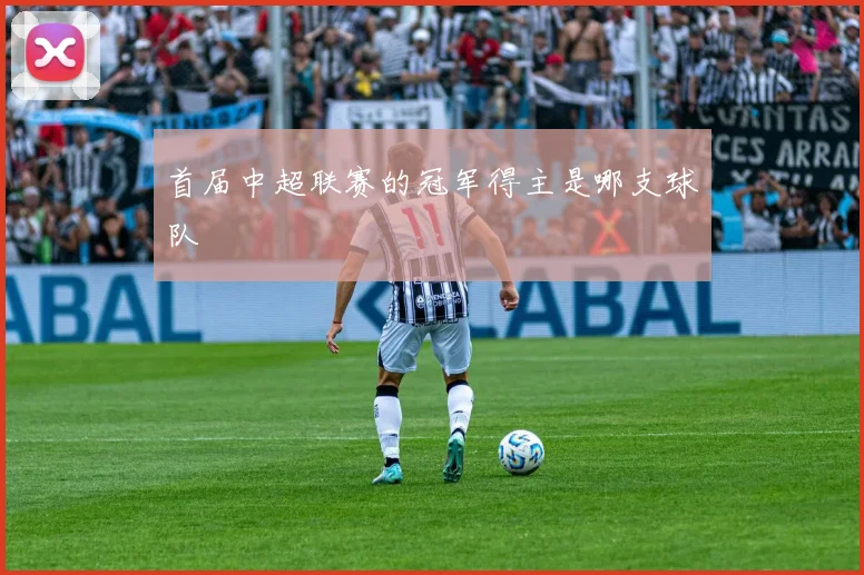 首届中超联赛的冠军得主是哪支球队