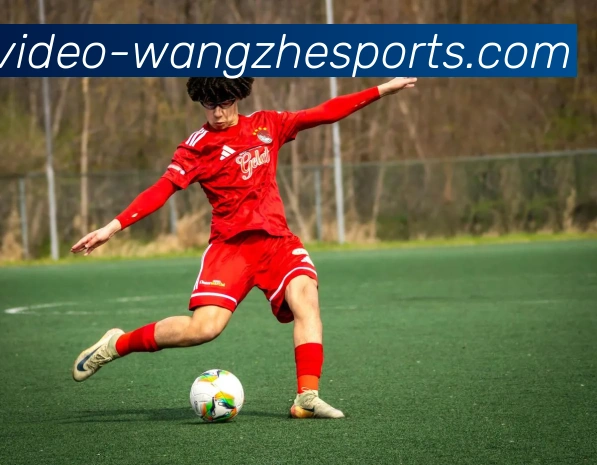 多媒体互动体验